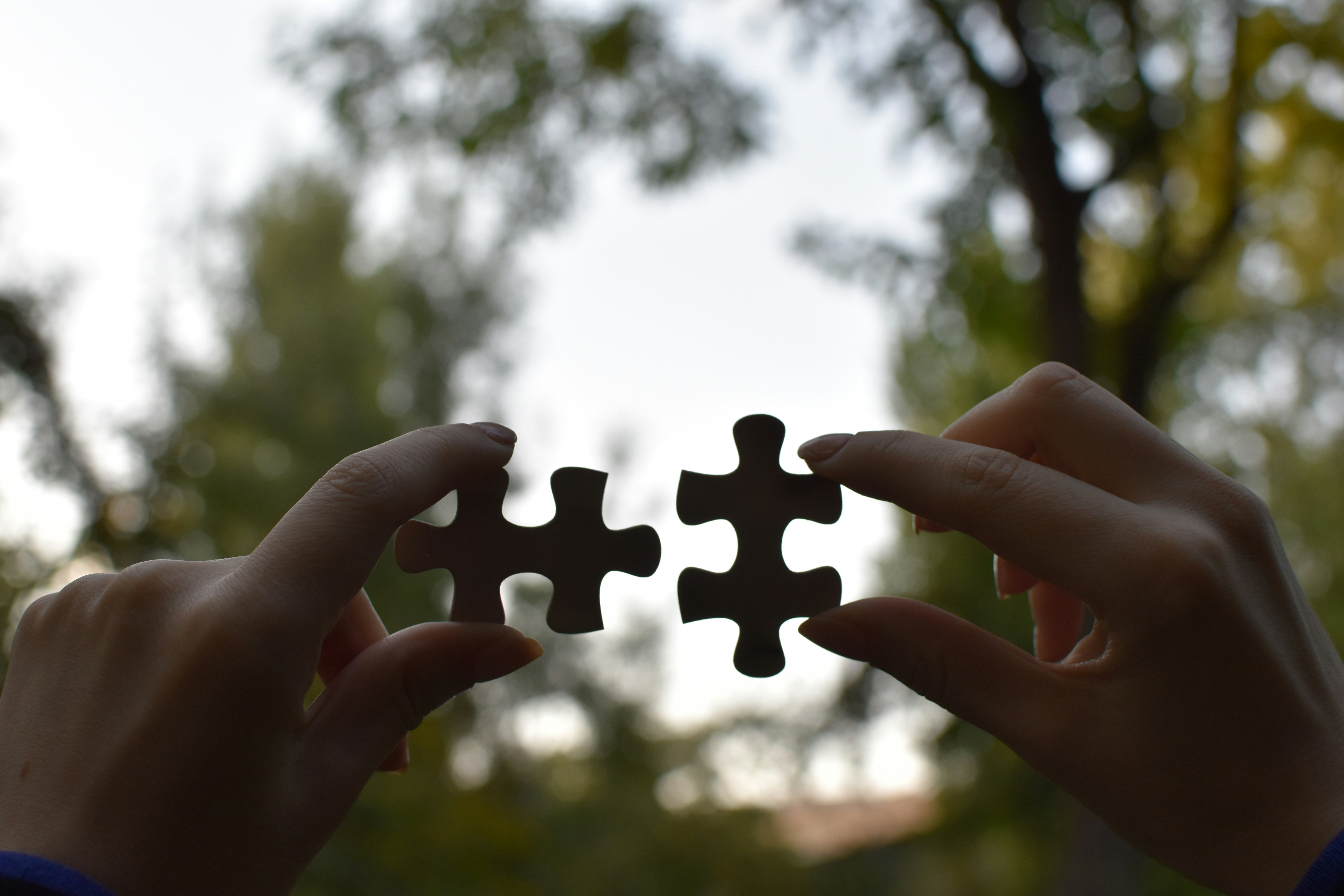 Integration Section